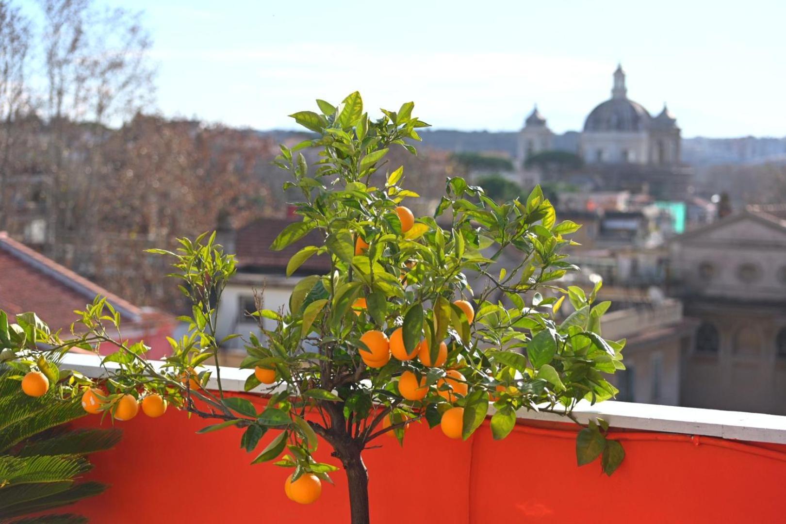 Farnesina Rooftop Terrace روما المظهر الخارجي الصورة